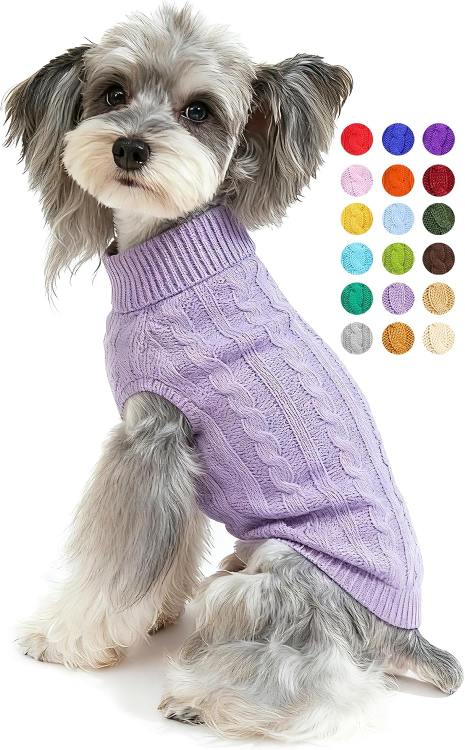 Small dog standing comfortably wearing the authentic Bwealthest imported warm clothes.