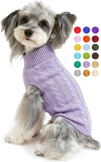 Small dog standing comfortably wearing the authentic Bwealthest imported warm clothes.