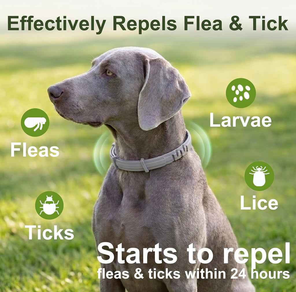 Craveit natural flea and tick collar for large dogs