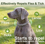 Craveit natural flea and tick collar for large dogs