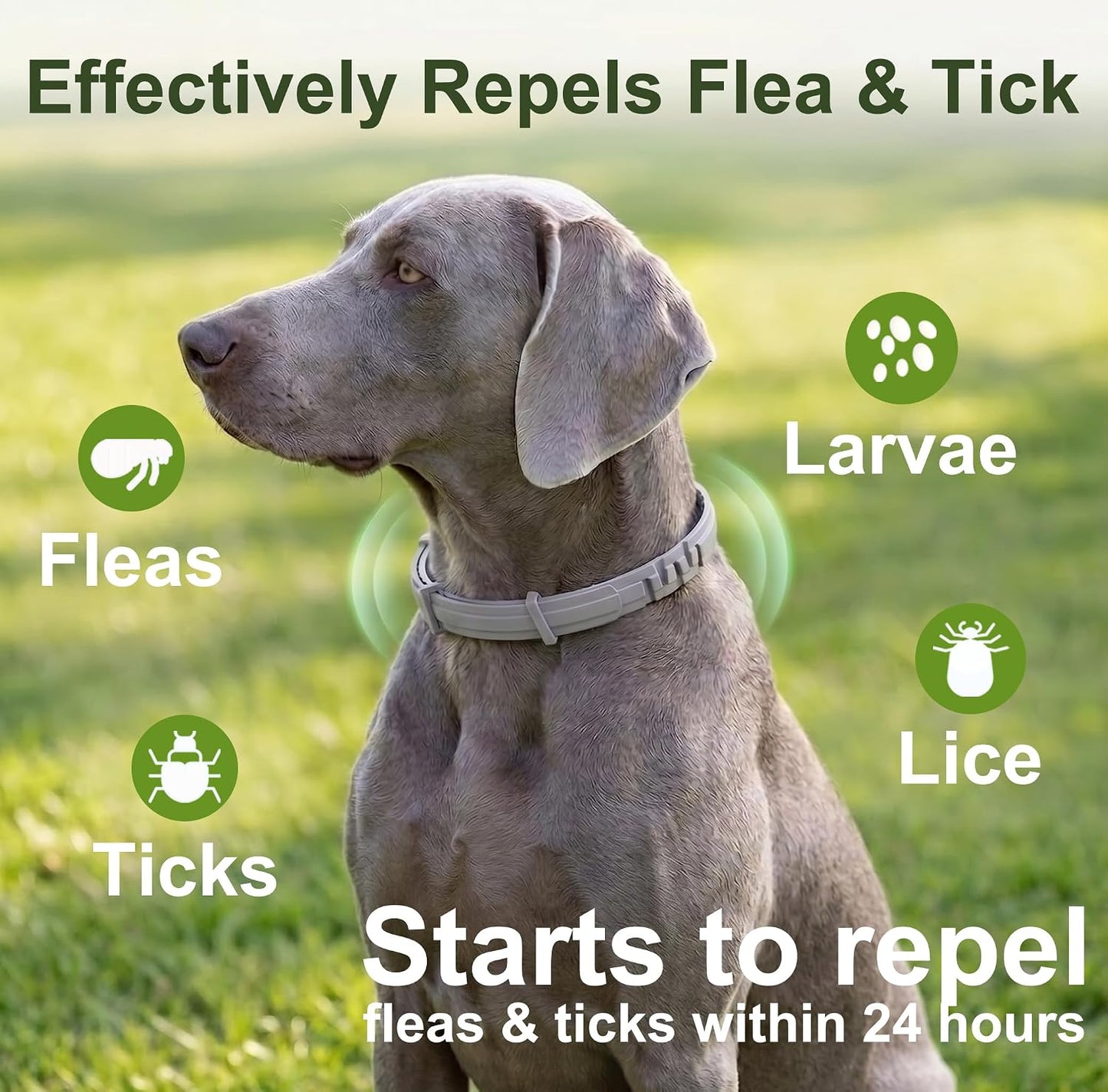 Craveit natural flea and tick collar for large dogs