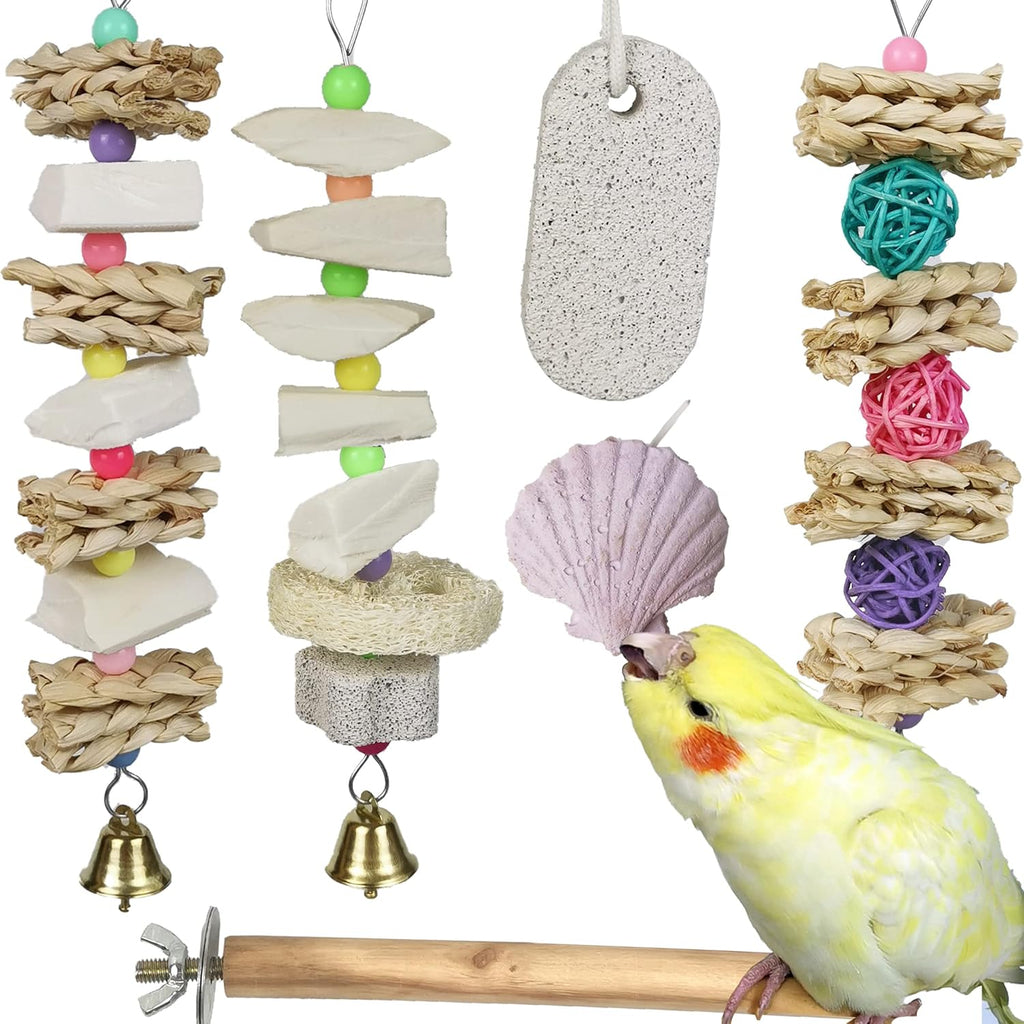 Qimilenzy parrot chewing toys six pieces set front view for bird cages