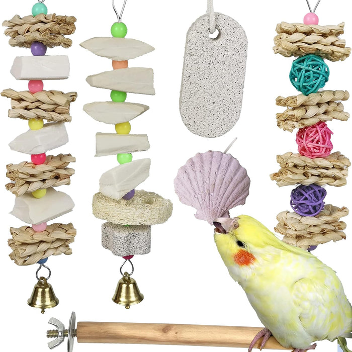 Parrot Chewing Toys (6 pcs) Natural Cuttlebone Bird Beak Trimmer Grinding Stone Lava Block Calcium Stone Bird Perch Cage Toys for Small and Medium Parakeets, Cockatiels, Conures, Budgies, Lovebirds - Image 1