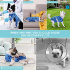 Comwish flexible blue polka dot surgical garment for small breeds