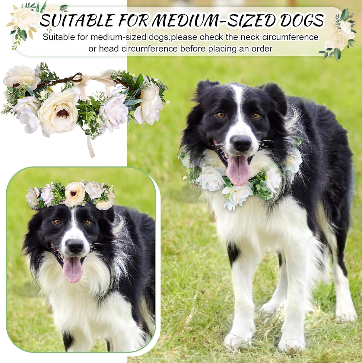 Adjustable floral dog collar worn by a golden retriever