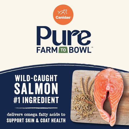 Close up of premium Canidae salmon and grain formula pet food bag