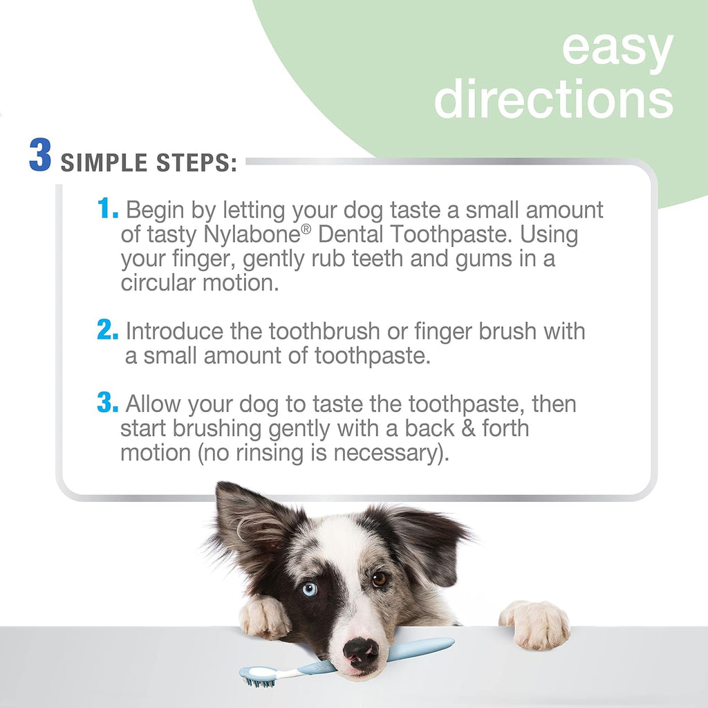 Nylabone 2.5 Ounce dog dental toothpaste back label