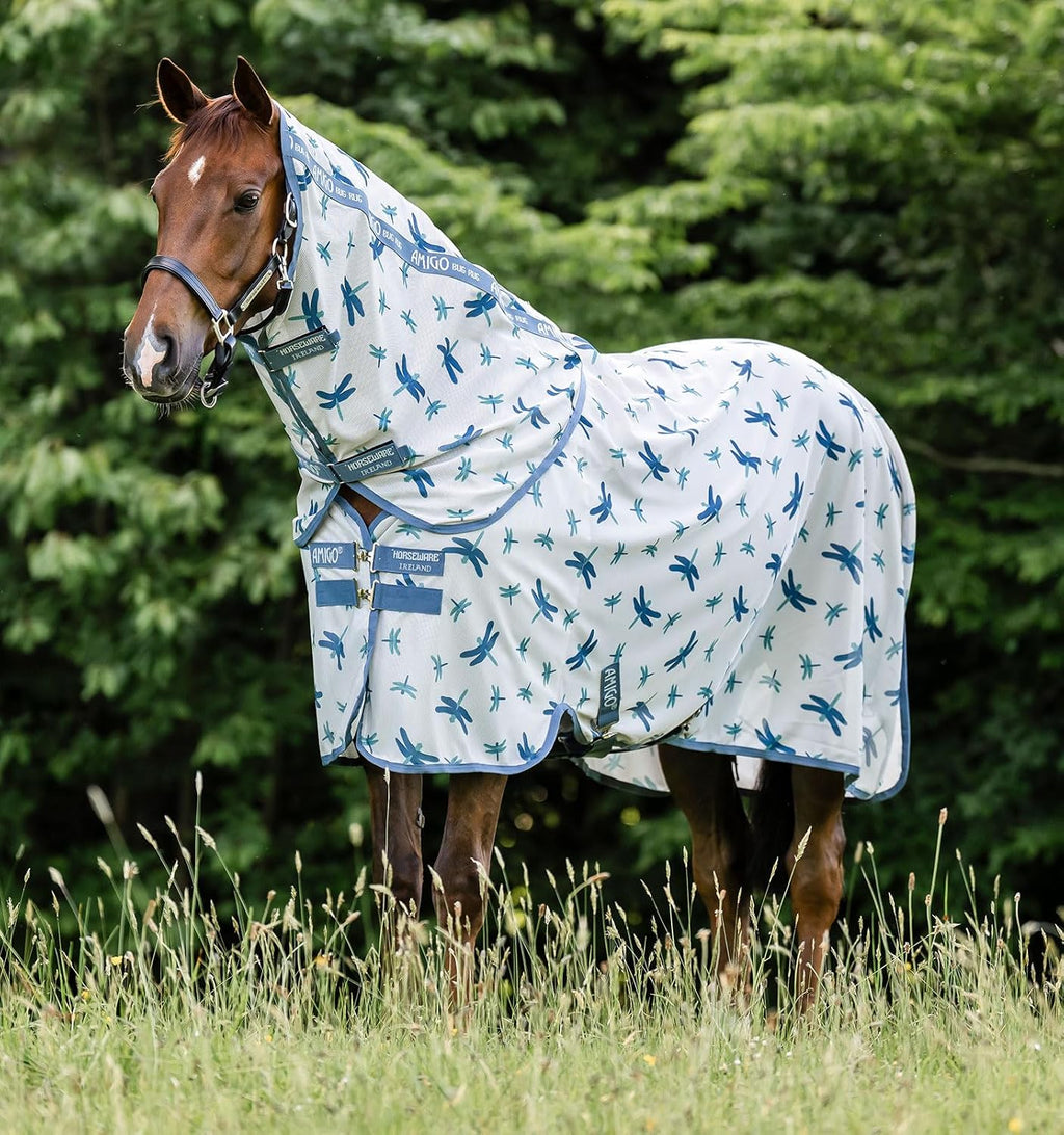 Horseware Amigo Bug Rug Plus Fly Sheet front view with dragonfly print.