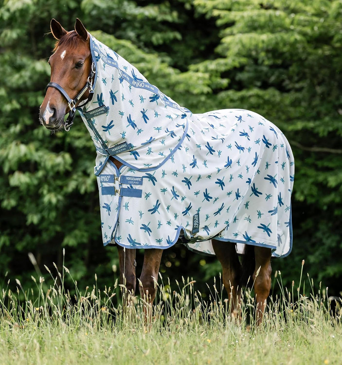 Horseware Amigo Bug Rug Plus Fly Sheet front view with dragonfly print.