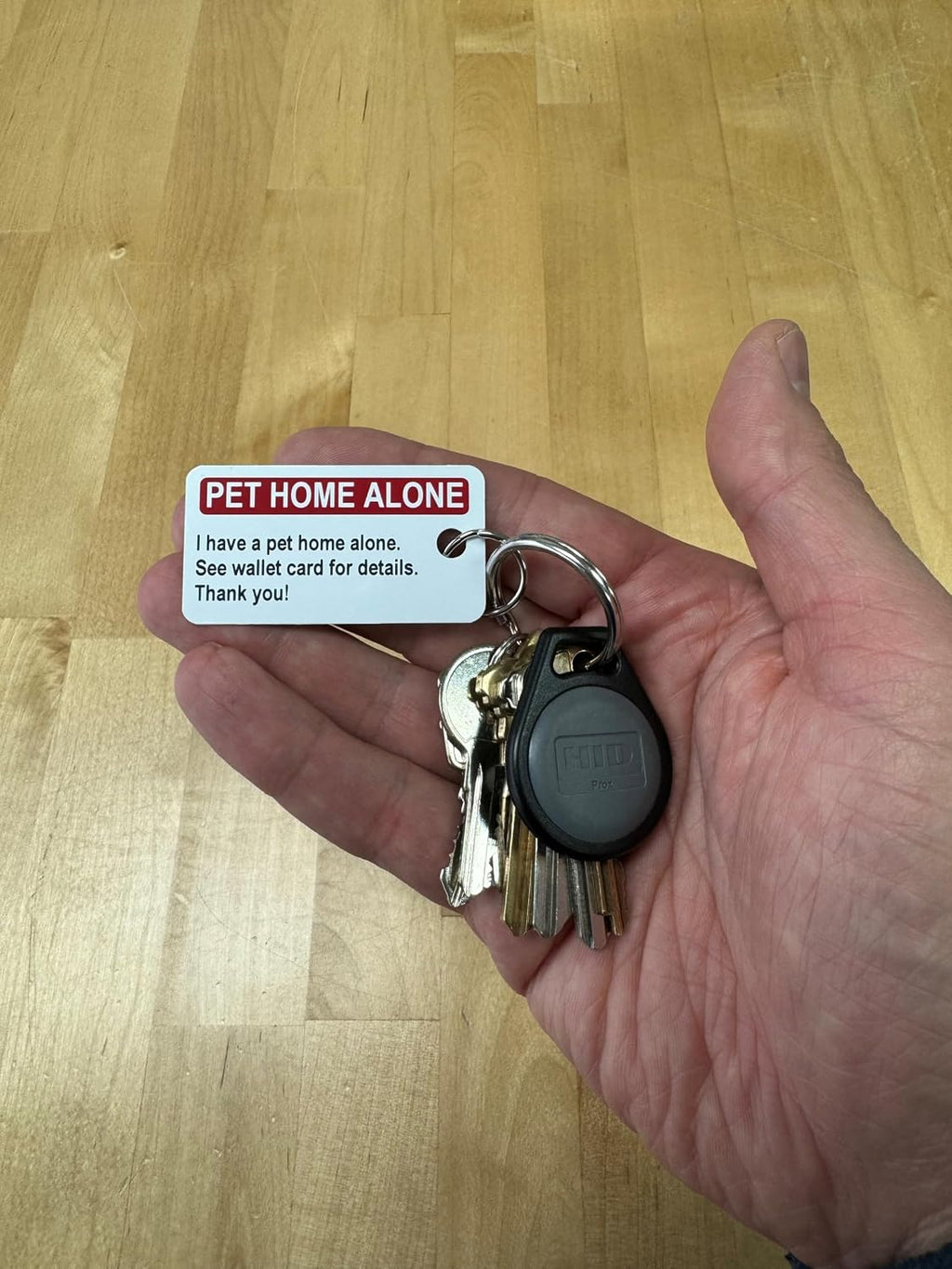 Complete Secure ID pet emergency safety kit components laid out together.