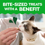 Greenies 16 ounce clear tub container for cats