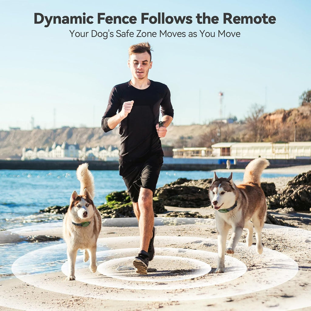 Dog wearing Eayaco electric training collar outdoors in a yard
