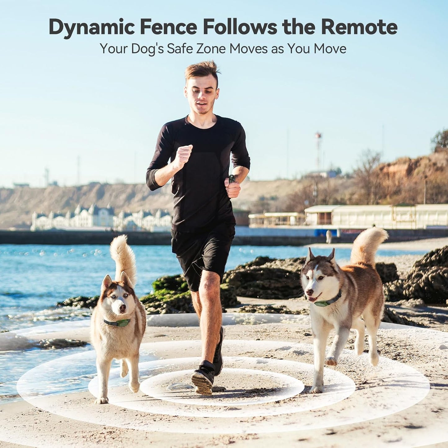 Dog wearing Eayaco electric training collar outdoors in a yard