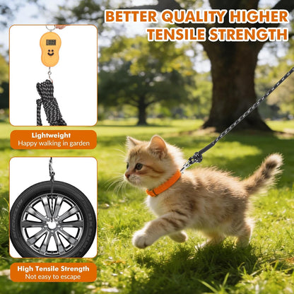 Reflective stitching detail on nylon cat training lead