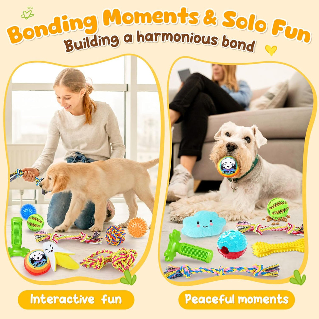 KIPRITII small dog variety pack including flying disc and outdoor fetch accessories.