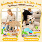 KIPRITII small dog variety pack including flying disc and outdoor fetch accessories.