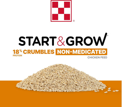Baby chicks eating Purina Start and Grow crumbles in a coop