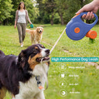 Small dog being walked with 3DOEX blue retractable leash