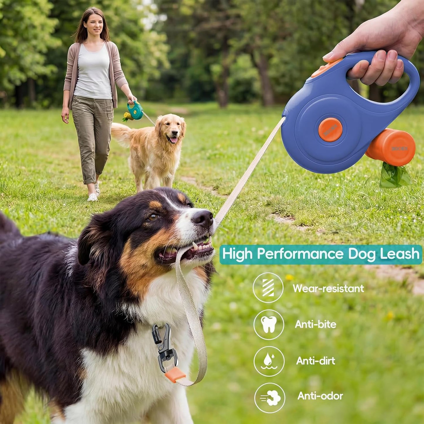Small dog being walked with 3DOEX blue retractable leash