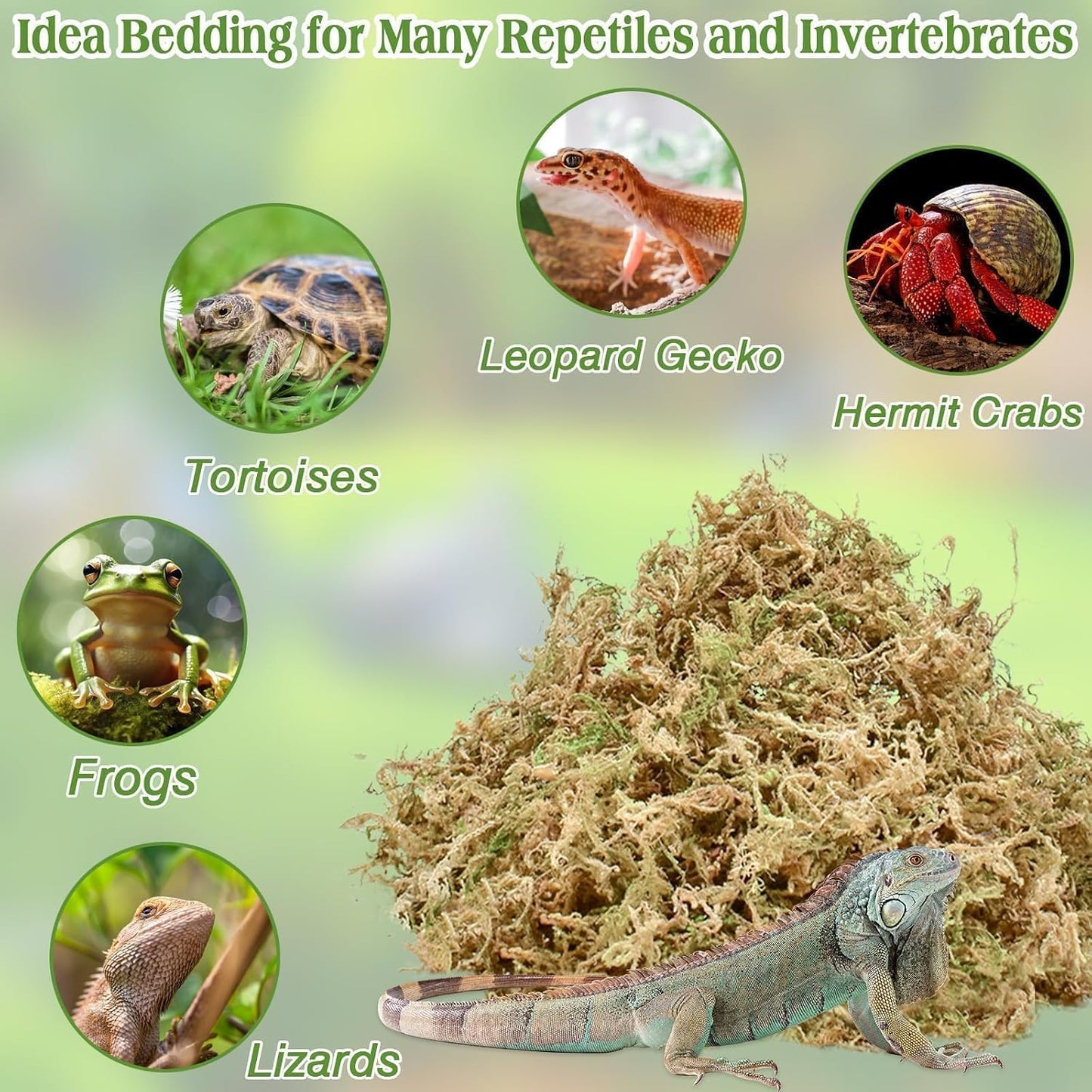 Halatool moisture retention moss bedding preparation in water container
