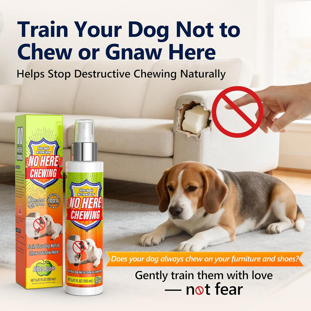Dog no chew training spray application on furniture