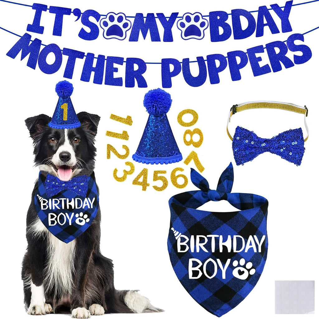 STMK premium imported dog birthday decorations set on a clean background