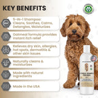 We Love Doodles dog shampoo label highlighting oatmeal and aloe ingredients
