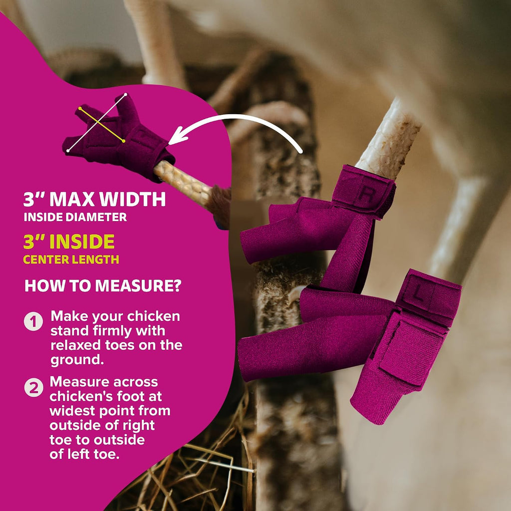 Birdy Bootie brand authentic USA sourced packaging