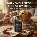 EYUTRD daily dog chews container placed next to a healthy dog showing shiny coat results