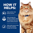Hill's Prescription Diet k/d Kidney Care + j/d Mobility Care Dry Cat Food, Chicken, 6.35 lb. Bag - Image 9