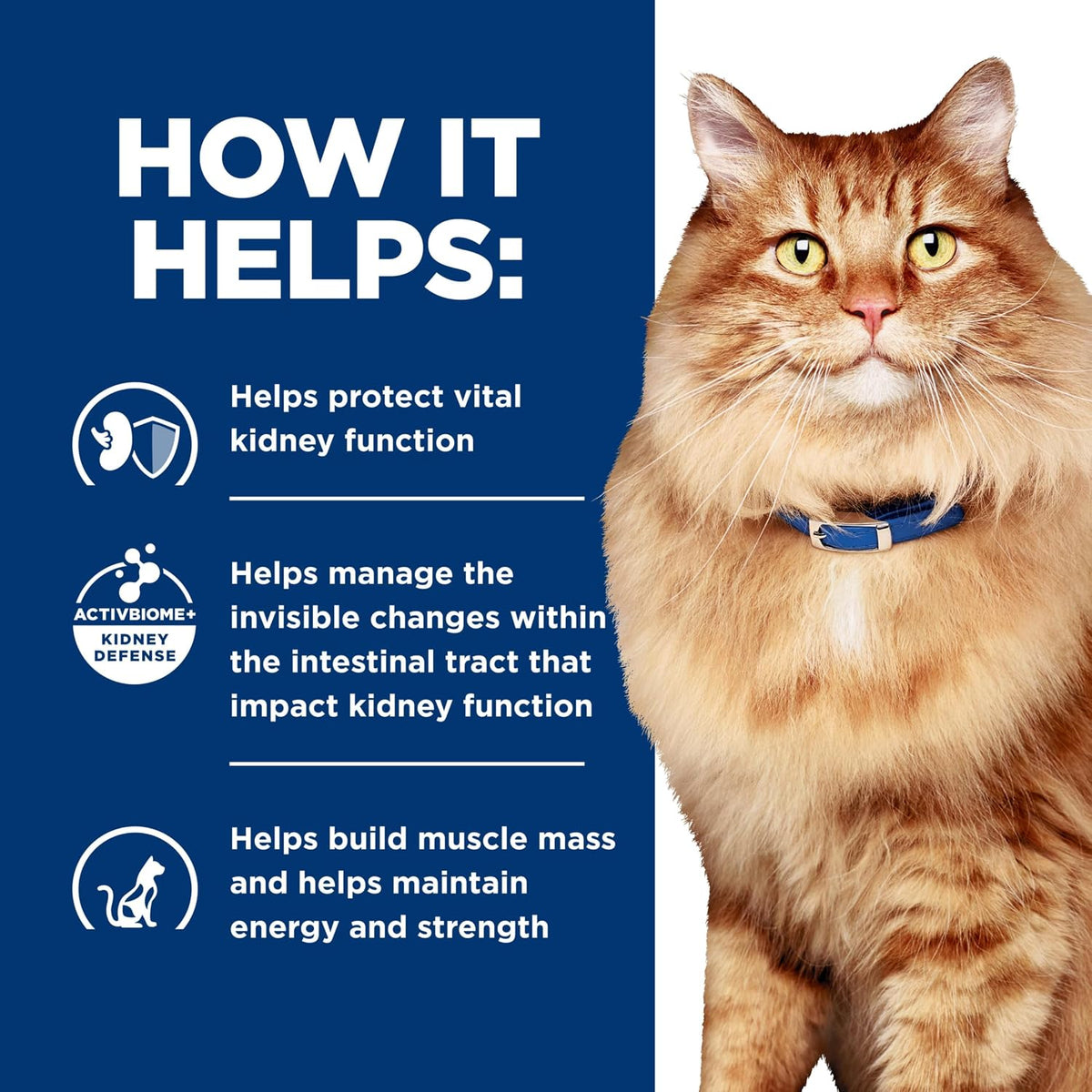 Hill's Prescription Diet k/d Kidney Care + j/d Mobility Care Dry Cat Food, Chicken, 6.35 lb. Bag - Image 9