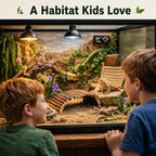 Runania reptile enclosure decor kit arrangement
