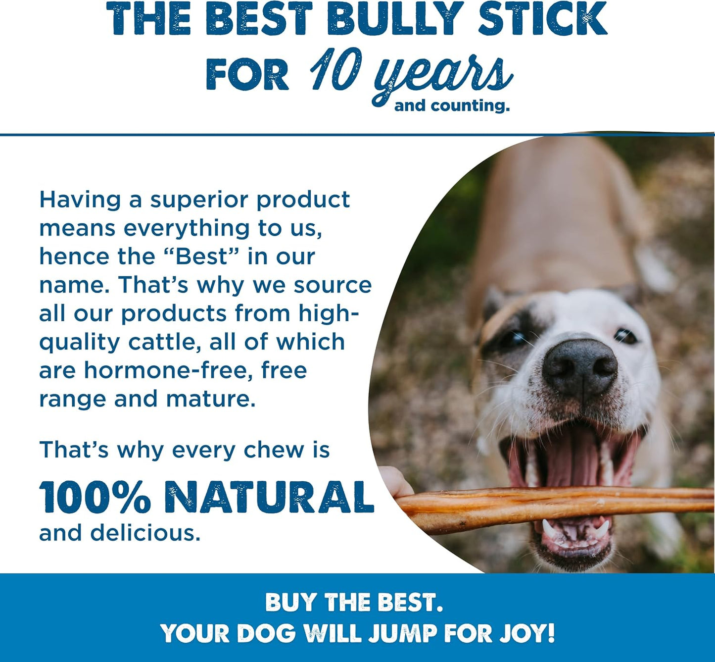 Grass fed beef chew toys alternative for dogs realistic product angle