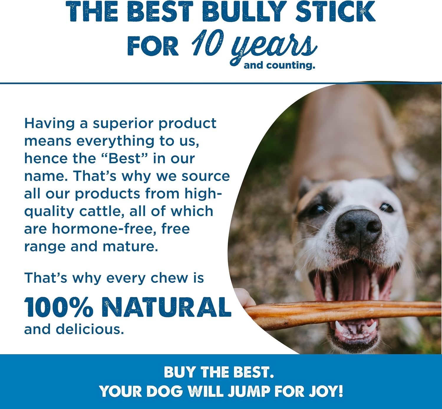 Best Bully Sticks authentic USA imported natural pet chew sticks texture detail