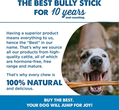 Best Bully Sticks authentic USA imported natural pet chew sticks texture detail