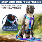 Adjustable Y shaped padded dog halter for strong breeds side view