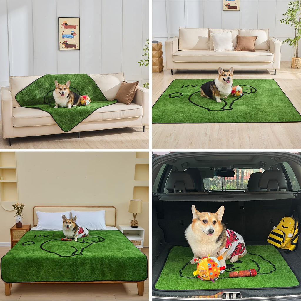 Qeils washable pet mat on living room floor