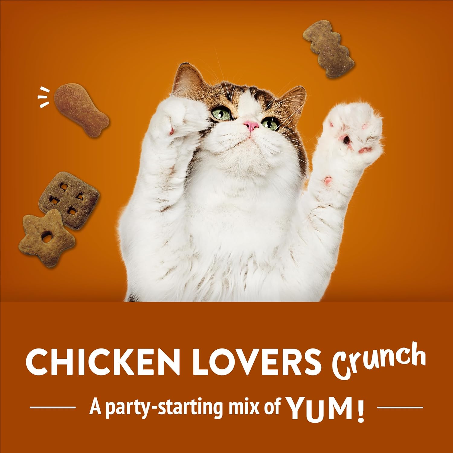 Friskies crunchy adult cat treats 30 Ounce canister packaging.
