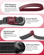 Heavy duty aluminum alloy rotating buckle on a dual pet lead.