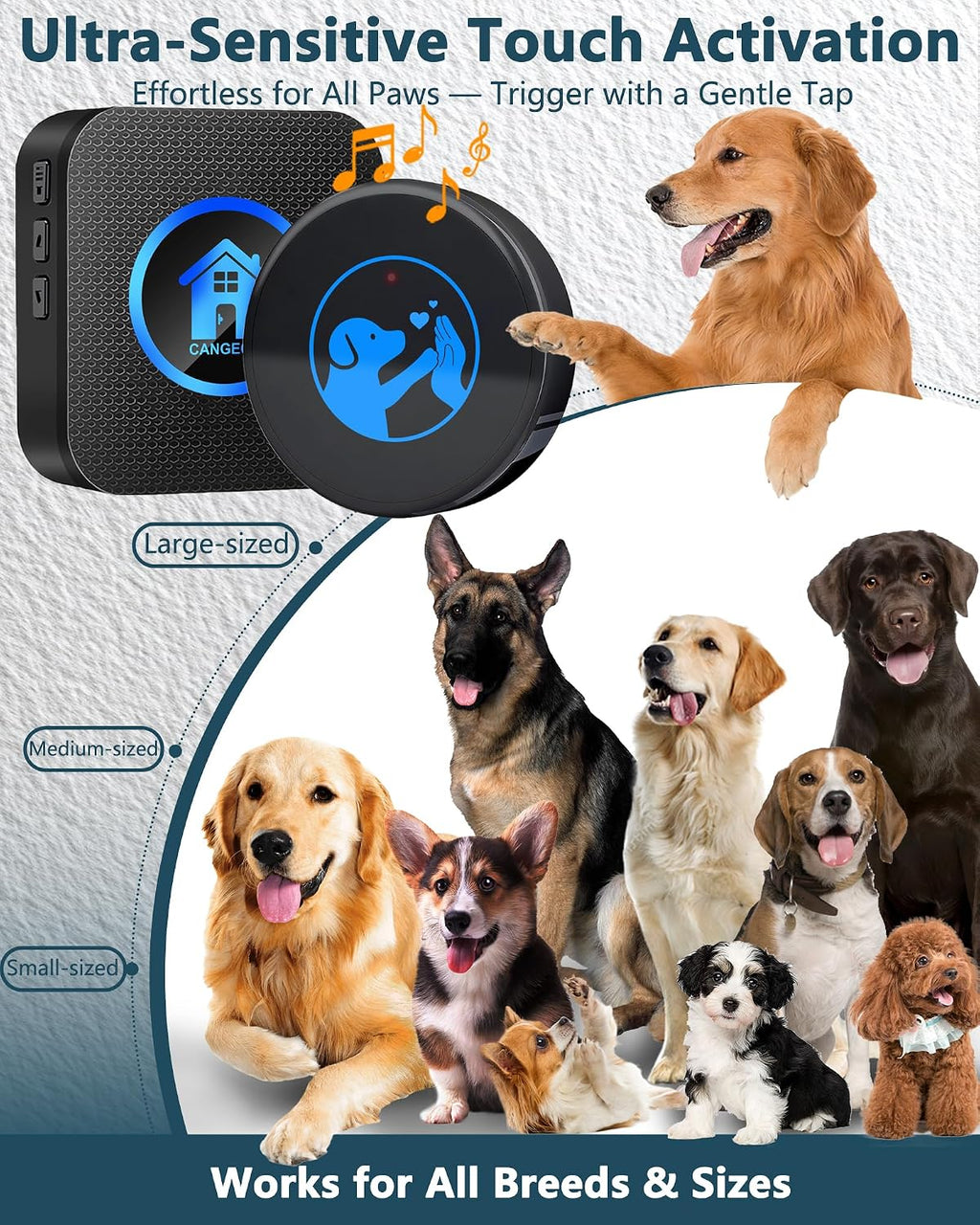Dazfe dog potty training bell kit contents