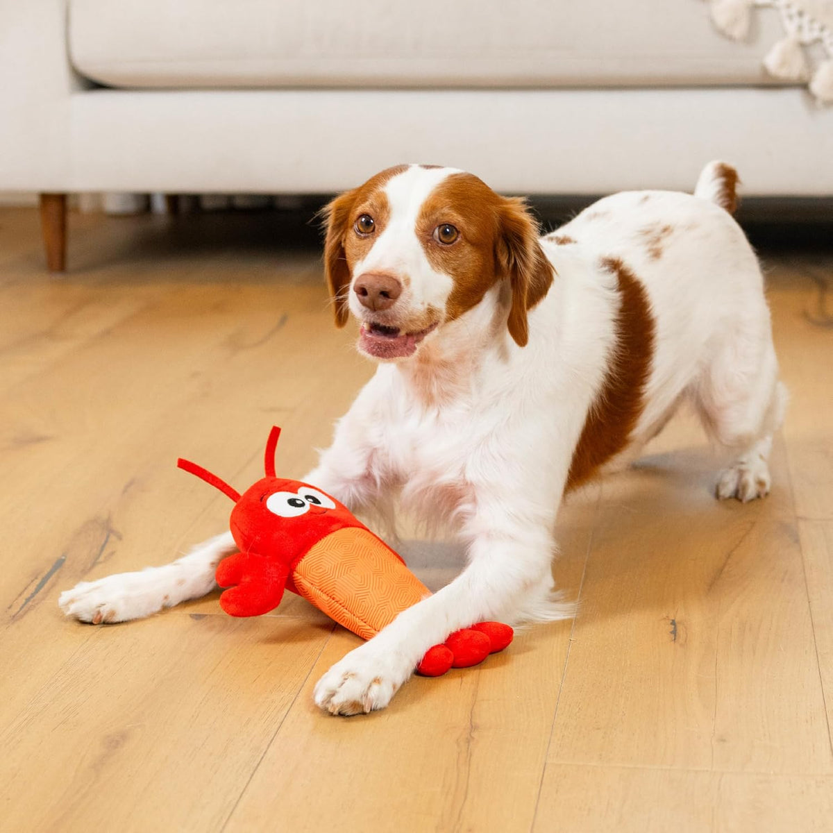 Detailed view of dog toy molded texture and squeaker placement