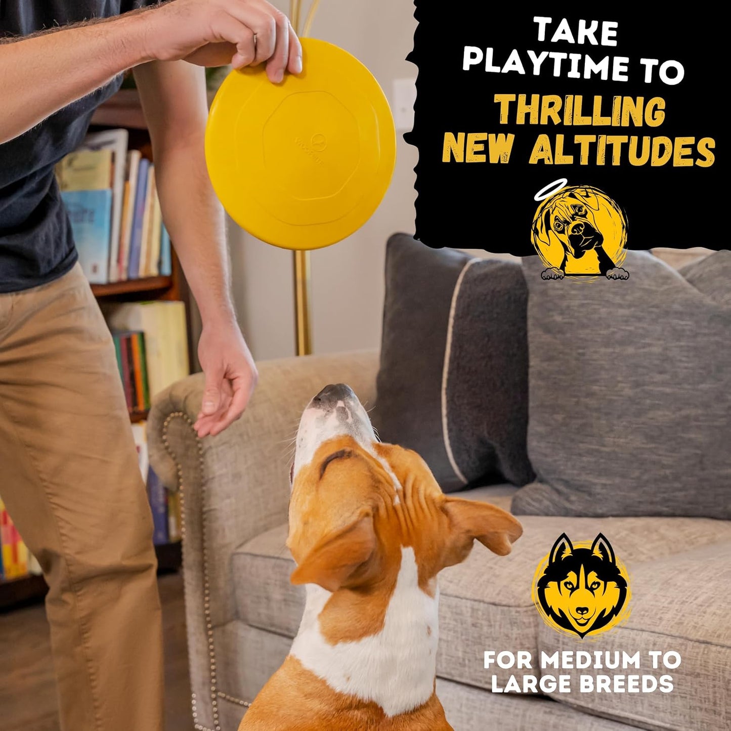 Dog playing with WoofBite indestructible disc