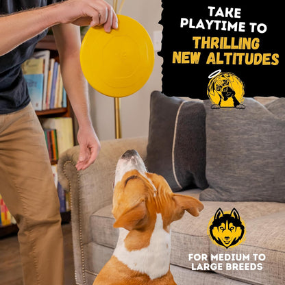 Dog playing with WoofBite indestructible disc