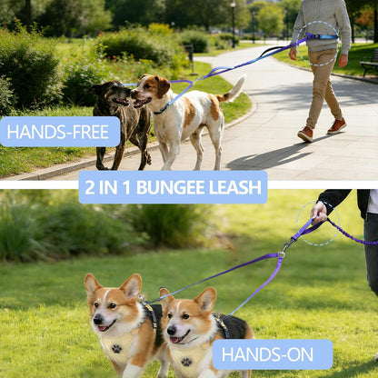 Roses&Poetry hands free two dog leash showing the integrated car seatbelt buckle attachment