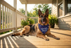 Agroon pet apparel for golden retriever
