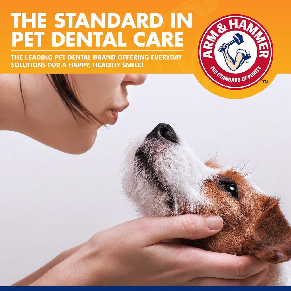 Arm and Hammer banana mint flavored dog toothpaste packaging