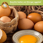 Ucm Group non-gmo bird and chicken feed supplement