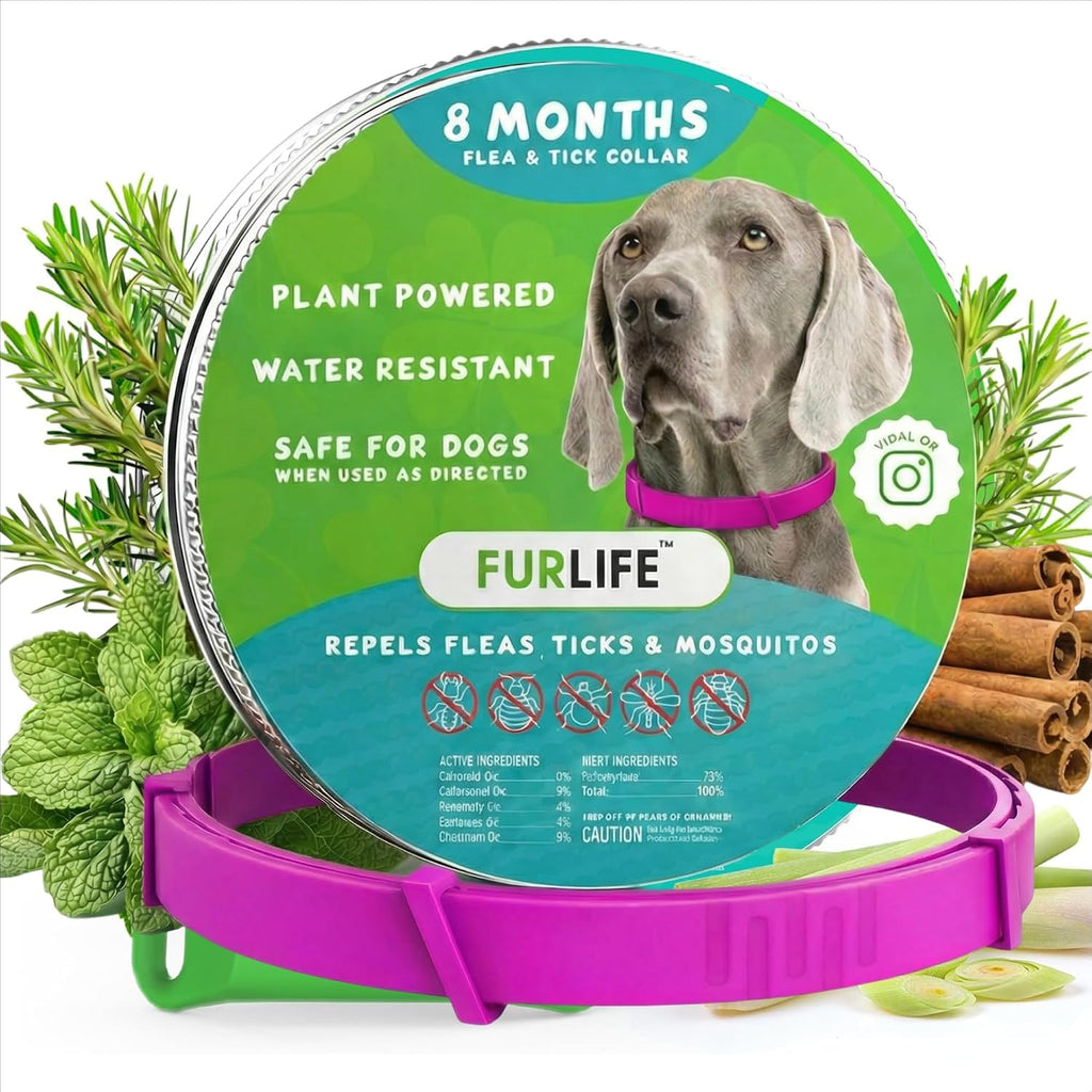 FurLife Flea and Tick Collar for Dogs - Waterproof Red Dog Collar, Pet Supplies for Tick and Flea Prevention for Dogs, Safe for All Breeds - Image 10