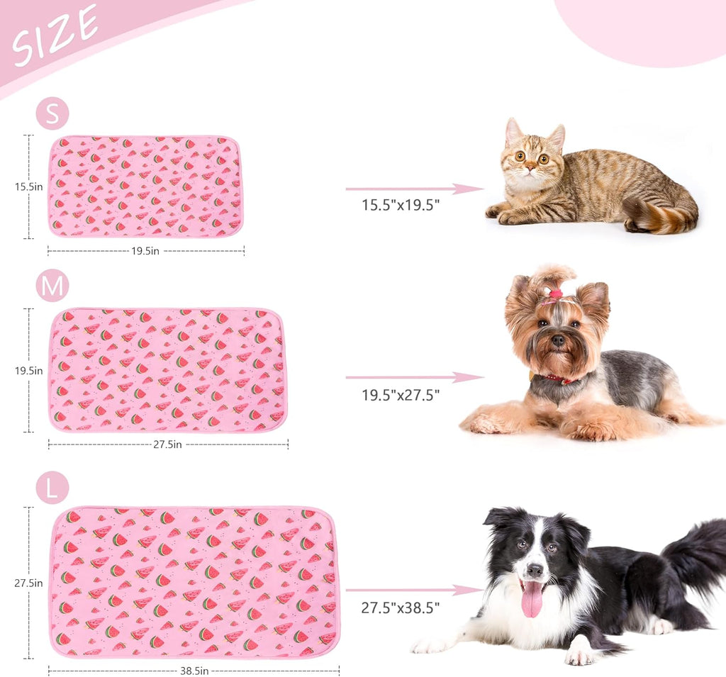 DELIFUR kitten ice pad folded for travel and portability