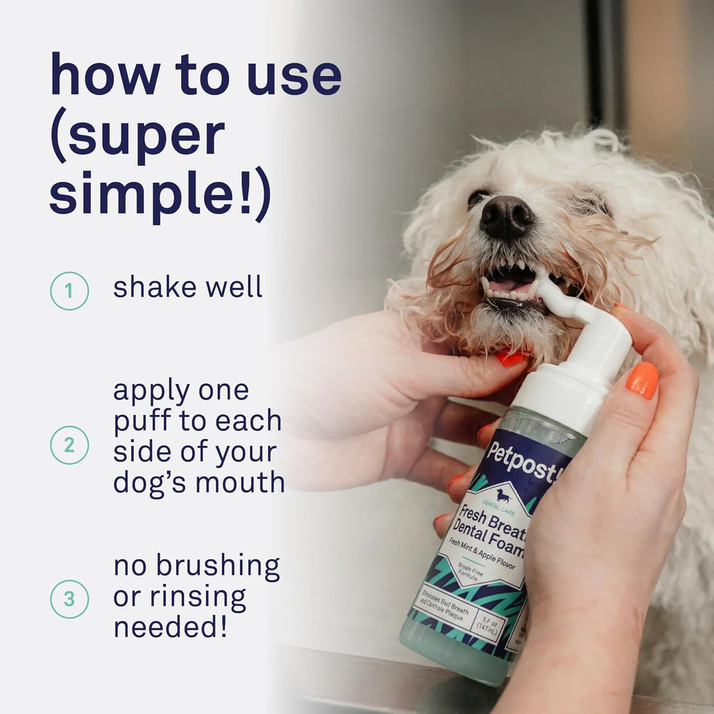 Petpost dental foam application for dogs